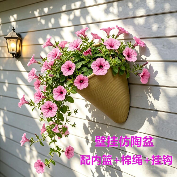 壁挂仿陶花盆蝴蝶兰吊兰多肉图片