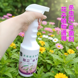 园艺植物盆栽杀虫剂小黑飞蚜虫腻虫红蜘蛛高效除虫杀菌通用喷雾剂