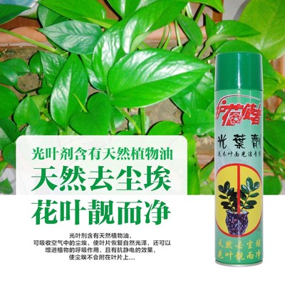 保康光叶剂植物叶面光亮除尘剂护花使者花卉叶面洁净光亮增绿喷剂