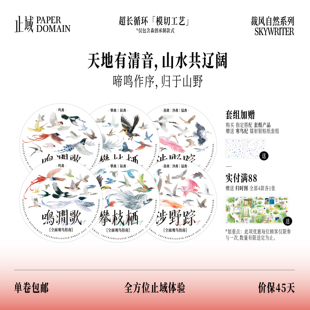 止域工作室 裁风自然系列 鸣涧歌攀枝栖涉野踪 观鸟手帐模切胶带