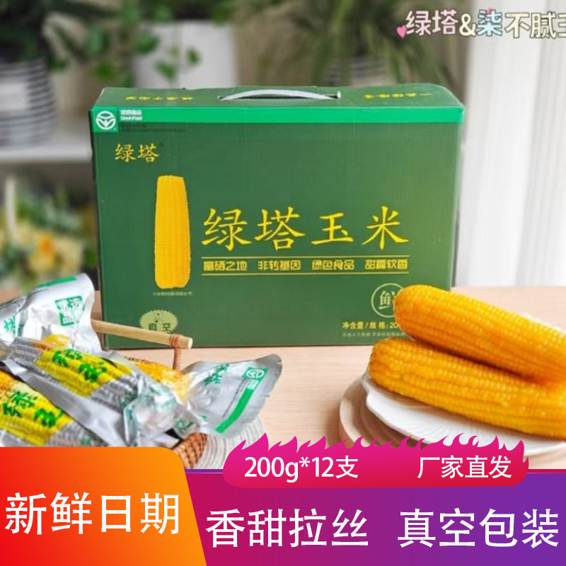 绿塔玉米真空包装软糯香甜加热即食儿童款东北黄苞米粗粮饱腹早餐
