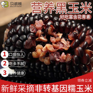 贝朗熊甄选黑糯玉米10根软糯香甜粗粮谷物杂粮真空装非转基因苞米