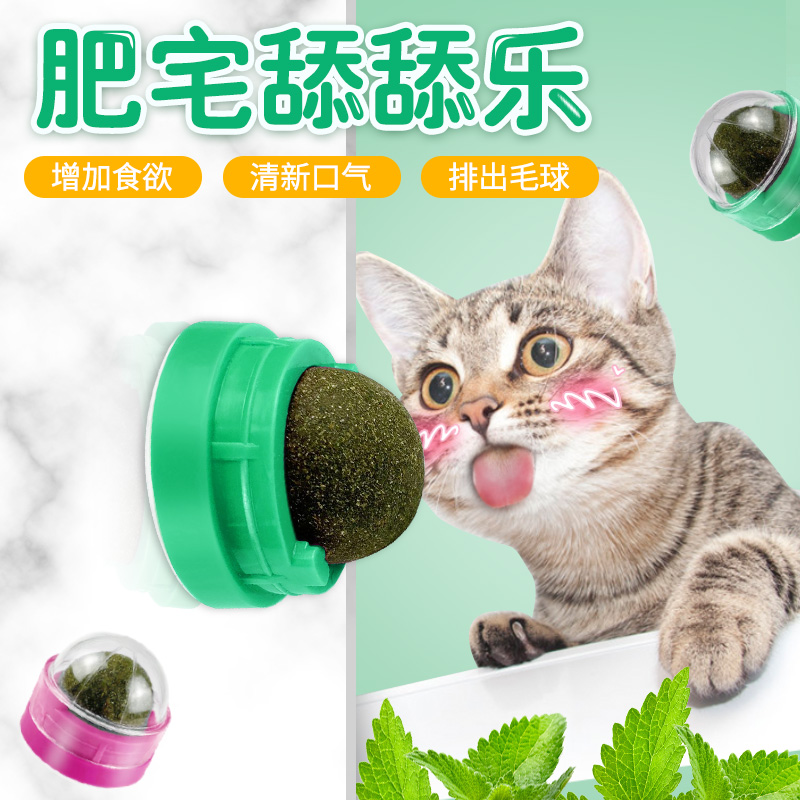 猫薄荷球猫玩具自嗨磨牙逗猫神器棒棒糖舔舔乐逗猫棒耐咬猫咪玩具|msdalam kategori haiwan peliharaan/makanan haiwan dan bekalan, Cat/Mainan anjing, kucing kayu lucu - dari Buy2taobao.com untuk memberikan perkhidmatan ejen Taobao profesional membeli