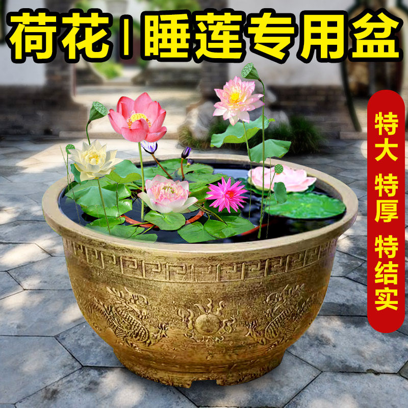 荷花盆睡莲盆莲藕缸户外庭院特大花盆超大口径大码加厚树脂种树