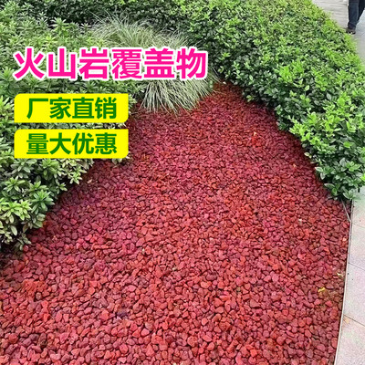 彩色有机覆盖物火山石松树皮造景园林绿化庭院花池树穴铺面土壤
