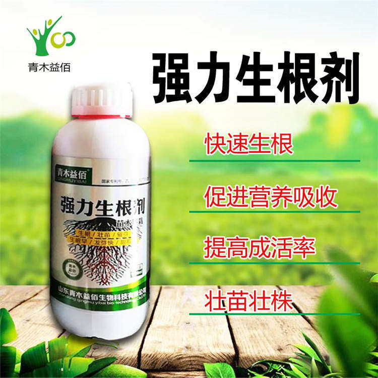 强力生根剂植物蔬菜花卉多肉大树盆栽通用生根扦插生根粉促苗生根