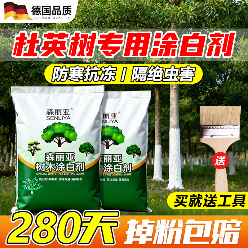 杜英树专用涂白剂树木树干刷白