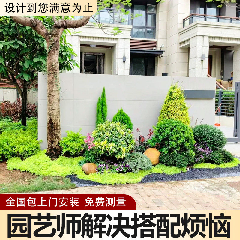 庭院花镜造景植物搭配设计一站式