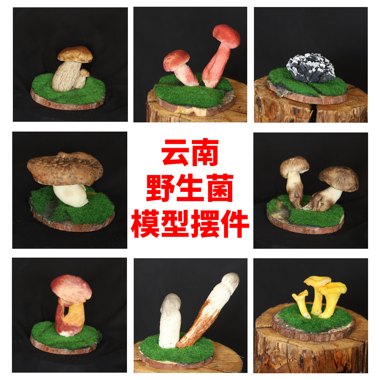 仿真假蘑菇野生菌模型摆件