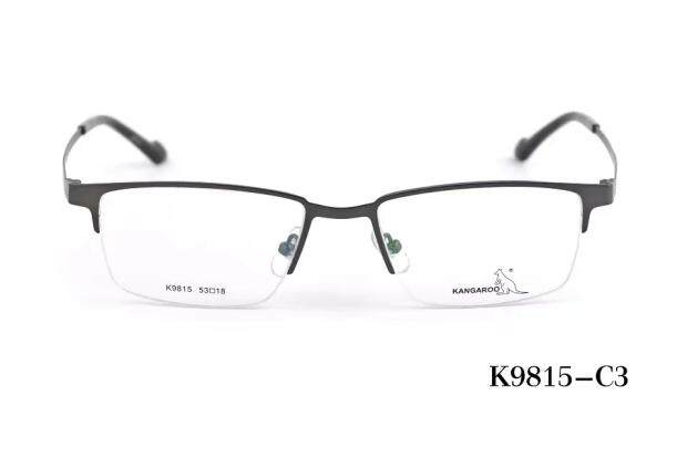 袋鼠变脸眼镜架 KANGAROO/眼镜框 带3D偏光墨镜夜视夹片 K9815