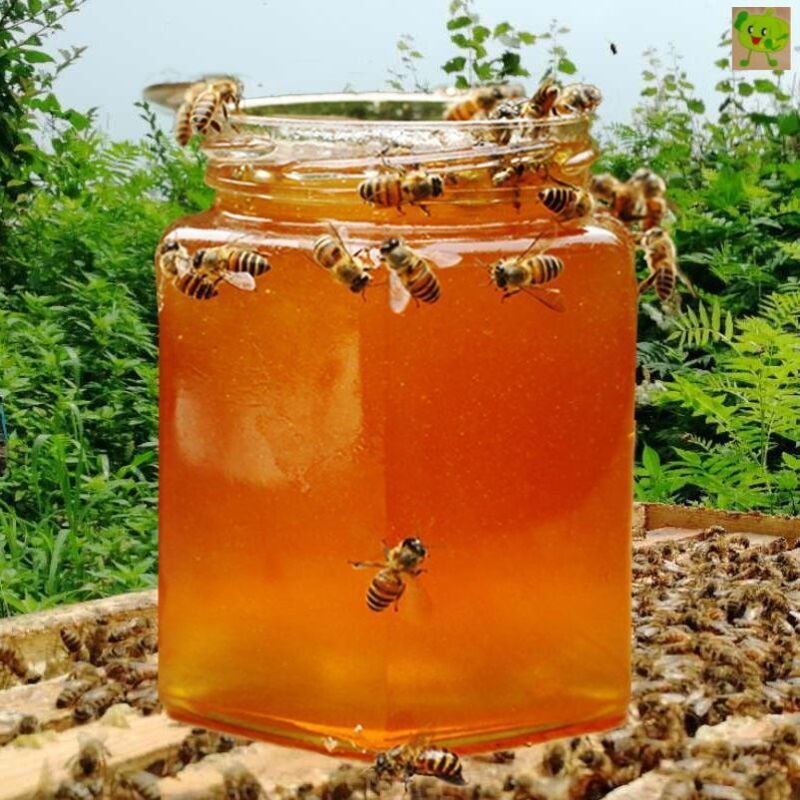 蜂蜜正宗野生土蜂蜜农家自产天然百花蜜纯正真蜜蜂糖蜂巢蜜
