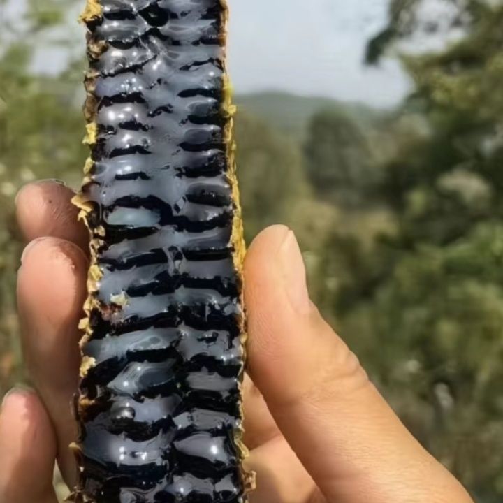 云南原哀牢山米团野生花蜜蜂蜜纯正天然团花高山黑蜜纯正正宗面膜