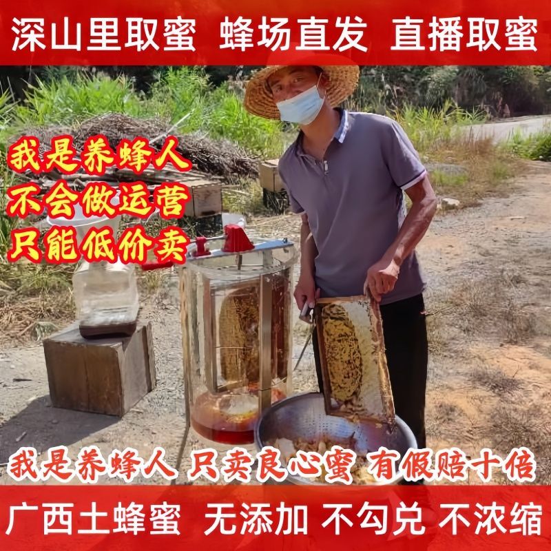 正宗广西蜂蜜天然土蜂蜜深山百花蜂蜜纯正无添加蜂蜜原蜜 百花蜜