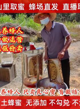 正宗广西蜂蜜天然土蜂蜜深山百花蜂蜜纯正无添加蜂蜜原蜜 百花蜜