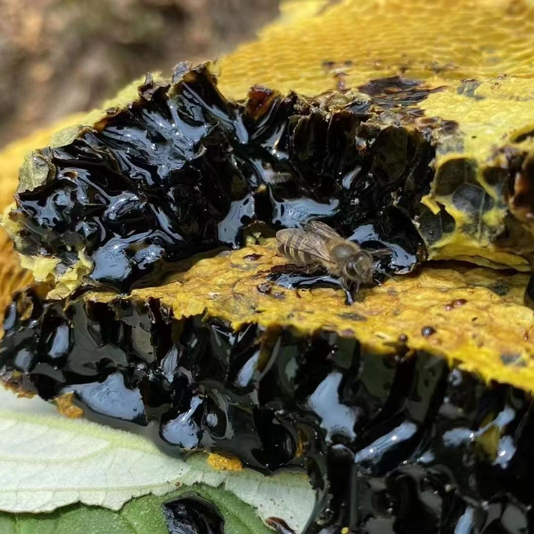 云南深山黑蜂蜜 纯正天然蜂蜜米团花高山黑蜜 稀有中药材药蜜
