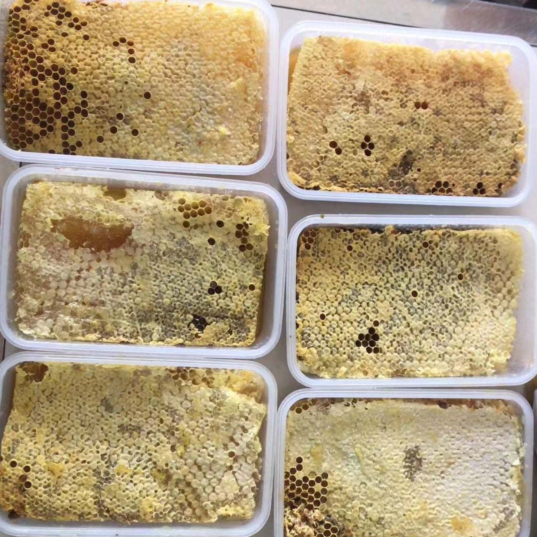 野生蜂巢蜜嚼着吃纯正天然农家自产秦岭蜂巢块老巢峰蜜土蜂蜜500g