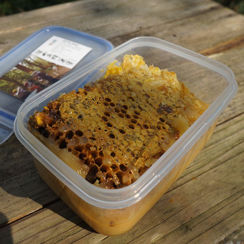 土蜂巢蜜 深山农家自产 蜂窝蜜 土蜂蜜 老蜂巢500g盒装
