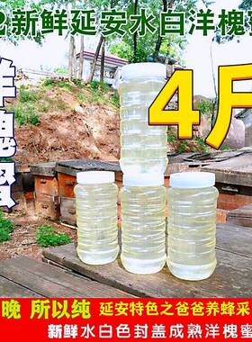 陕西延安槐花蜜纯正天然自产水色白蜂蜜成熟孕妇儿童洋槐蜜2斤