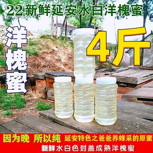 陕西延安槐花蜜纯正天然自产水色白蜂蜜成熟孕妇儿童洋槐蜜2斤