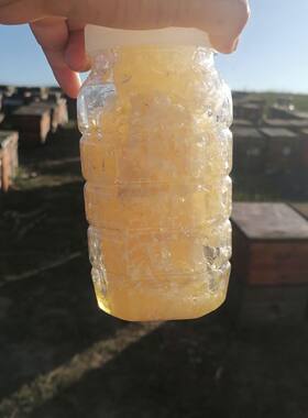 蜂农直销无任何添加绝不含糖原切蜂巢蜜块不含人工巢础直接嚼着吃