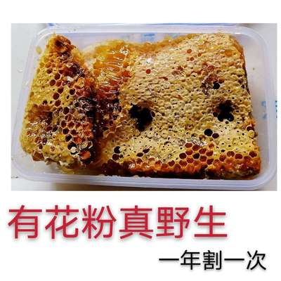 深山真天然野生蜂巢老巢蜜农家自产自销纯正蜂巢蜜土蜂蜜半斤一斤