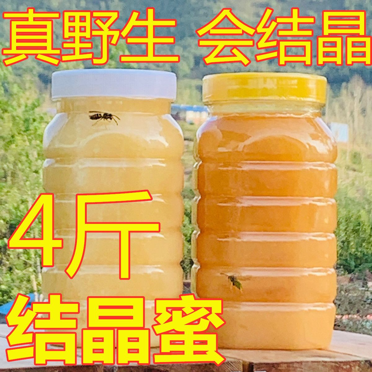 2斤野生新疆蜂蜜纯正天然农家自产百花蜜土蜂蜜正宗无添加山花蜜