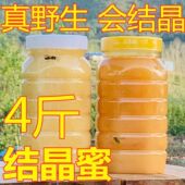 2斤野生新疆蜂蜜纯正天然农家自产百花蜜土蜂蜜正宗无添加山花蜜