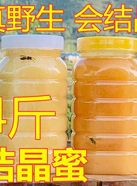 2斤野生新疆蜂蜜纯正天然农家自产百花蜜土蜂蜜正宗无添加山花蜜