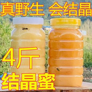 2斤野生新疆蜂蜜纯正天然农家自产百花蜜土蜂蜜正宗无添加山花蜜