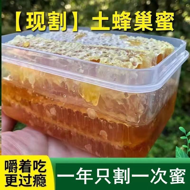 现切蜂巢蜜整块天然切割盒装整块500克农家纯正蜂窝蜂蜜嚼着吃
