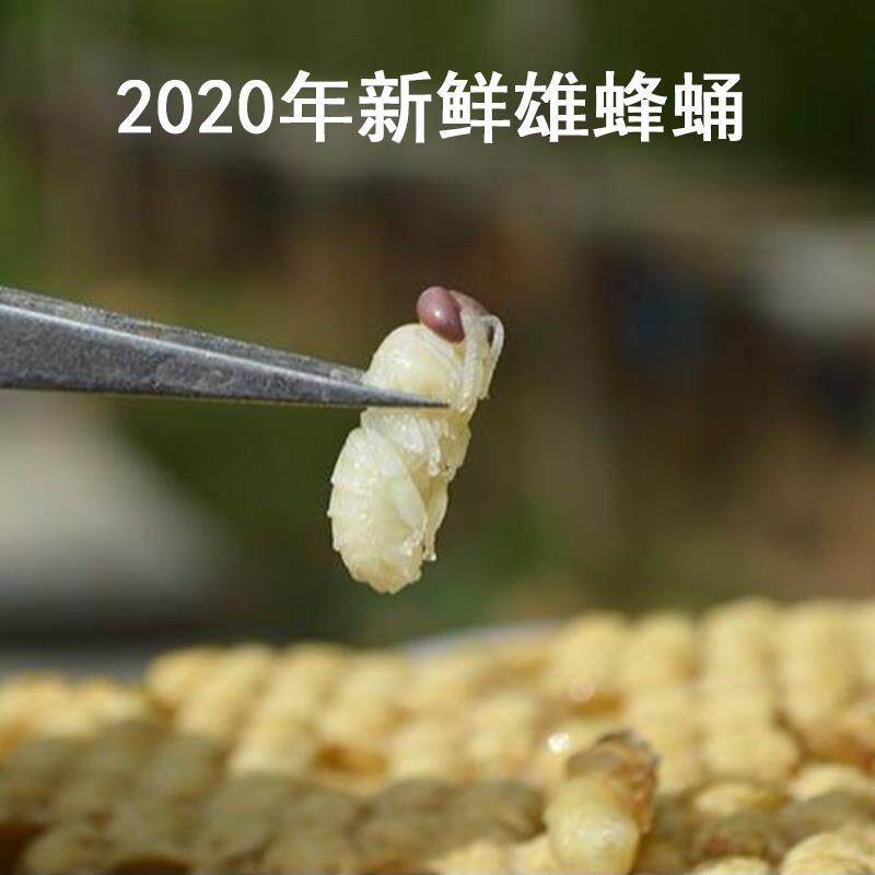 雄蜂蛹蜂蛹冻干粉片原料男性滋保养补正宗野生天然蜂皇胎正品