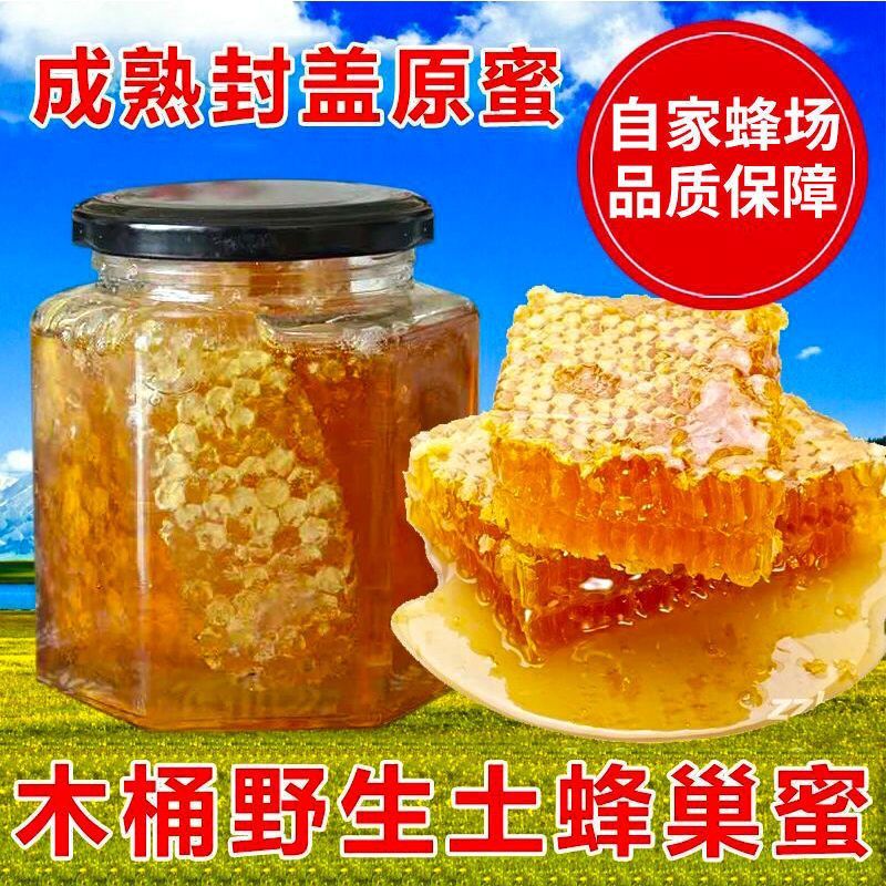 野生蜂巢蜜百花蜂巢蜜封盖老巢土蜂蜜带巢野花蜂蜜500g嚼着吃