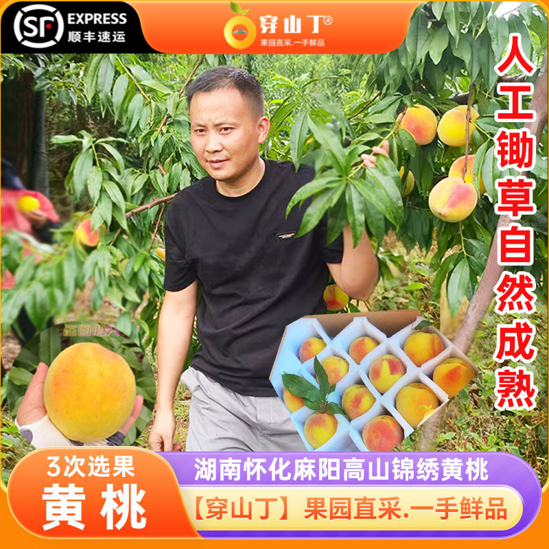 湖南怀化麻阳高山锦绣黄桃_香脆甜红心大桃子_黄桃新鲜水果现摘