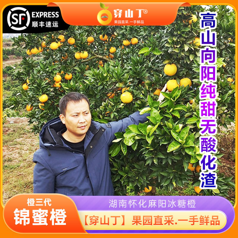 怀化麻阳锦蜜冰糖橙子纯甜无酸