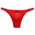 Red Brief