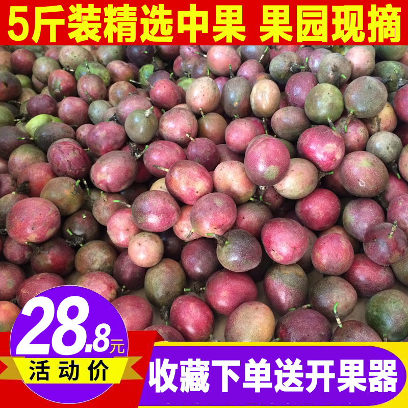 5斤中果包邮新鲜热带特产百香果(非品牌)