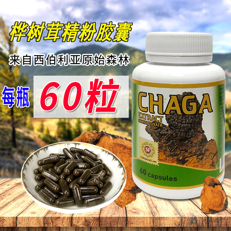 白桦茸胶囊俄罗斯进口西伯利亚桦树茸精粉桦褐孔菌丸天然胰岛素