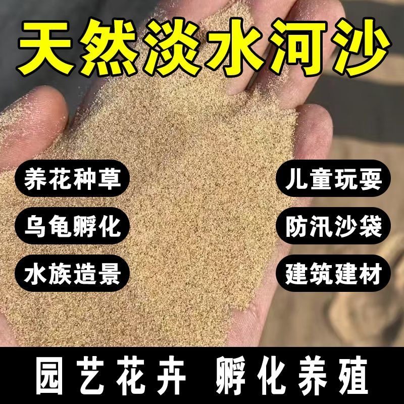 纯天然河沙细沙生姜存放鱼缸底砂造景乌龟冬眠多肉种植建筑用沙子图片