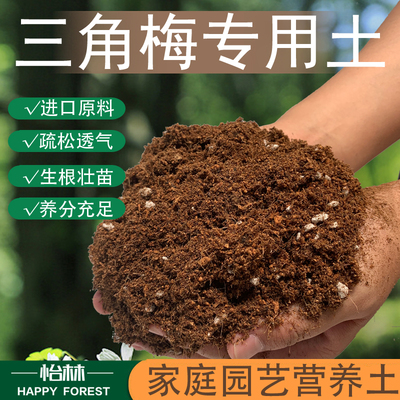 三角梅绿植盆栽酸性肥料专用土