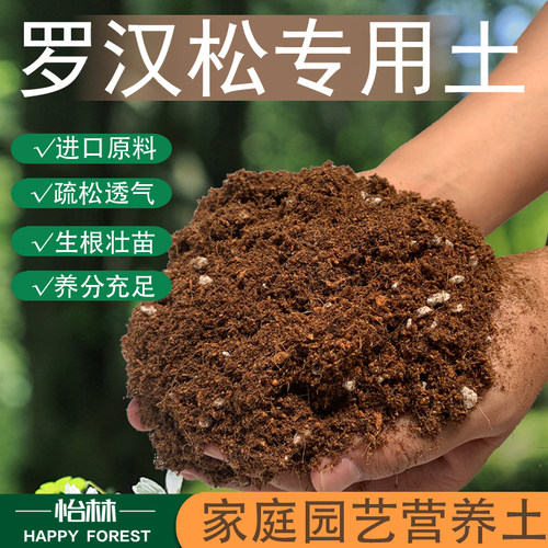 罗汉松绿植盆栽酸性肥料专用土