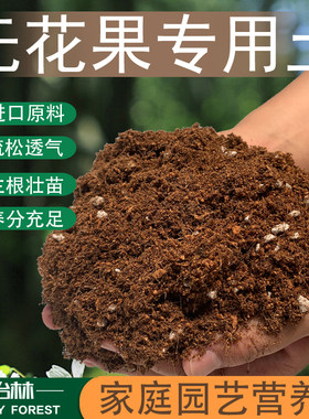 无花果绿植盆栽酸性肥料专用土