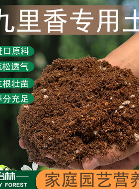 九里香绿植盆栽酸性肥料专用土