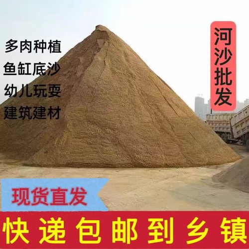 粗细河沙种植养花拌土天然黄沙铺面石乌龟冬眠孵蛋鱼缸底砂消防沙