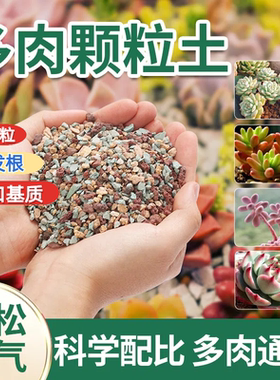 多肉植物营养土进口泥炭土多肉土叶插换盆土多肉专用土纯颗粒铺面