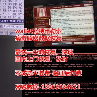 walletBTC比特币数字货币勒索病毒解密 数据库修复解密数据恢复