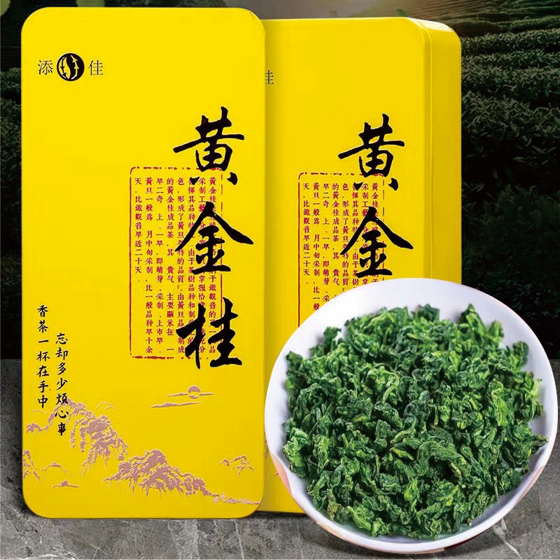 天花板安溪金观音的父本树种黄金桂皇口透天香新茶春茶破价上市