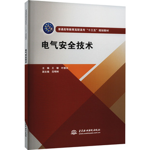 正版 叶德云主编 书籍 王敏 电气安全技术