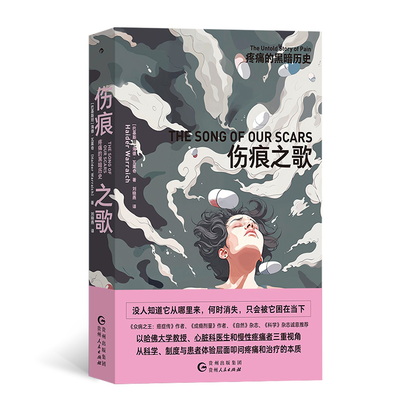 伤痕之歌：疼痛的黑暗历史 [巴基斯坦] 海德·瓦莱奇  后浪 正版书籍