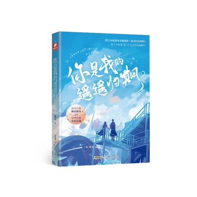 预售 你是我的遥遥归期2 川澜 著 文学 安徽文艺出版社