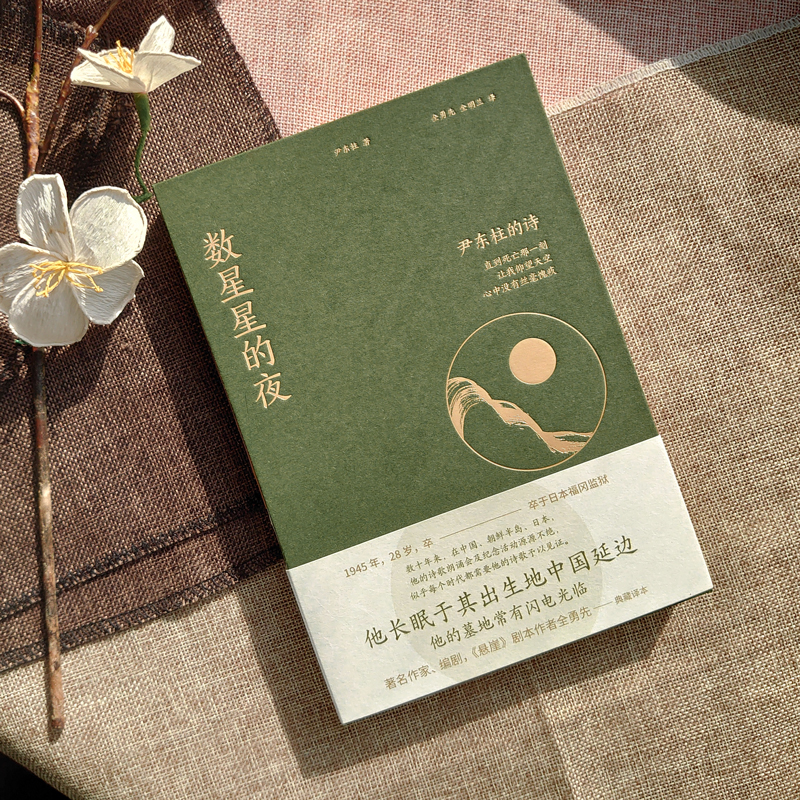 数星星的夜 尹东柱的诗 尹东柱著 全勇先 全明兰译 凤凰联动出品 正版书籍